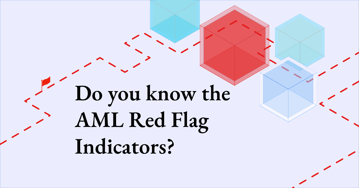 AML Red Flags that VASPs and FIs should know image