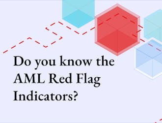 AML Red Flags that VASPs and FIs should know